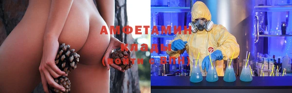 амф Гусиноозёрск