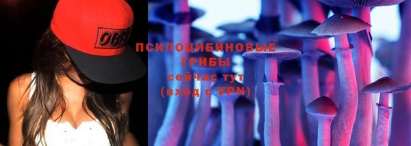 мяу мяу мука Гусев