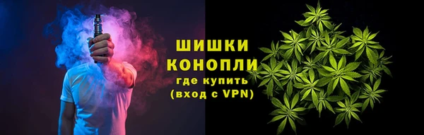 амф Гусиноозёрск