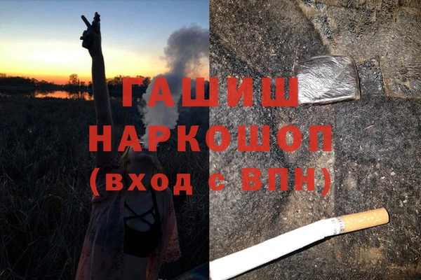 амф Гусиноозёрск
