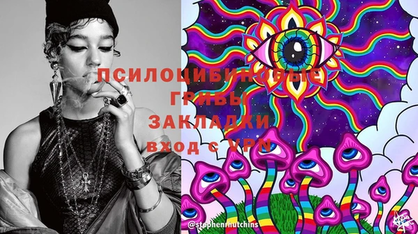 шишки Дмитров
