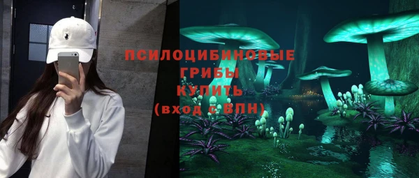 соль курить ск Гусь-Хрустальный