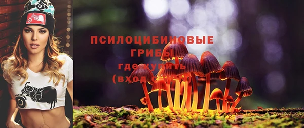 соль курить ск Гусь-Хрустальный