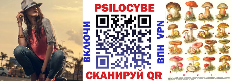 Купить где  Карабулак  Псилоцибиновые грибы прущие грибы 